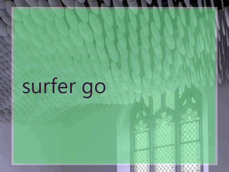 surfer go