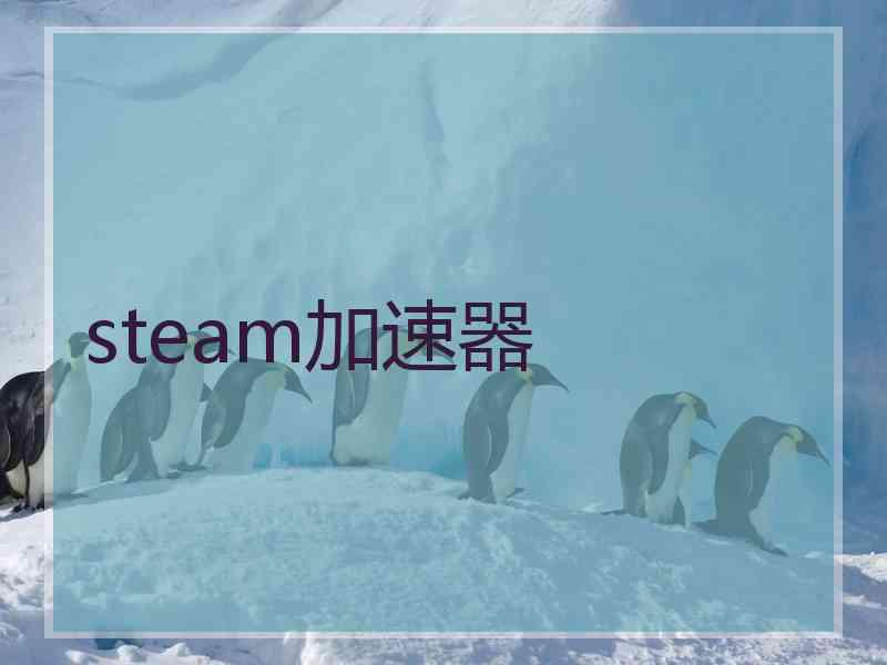 steam加速器