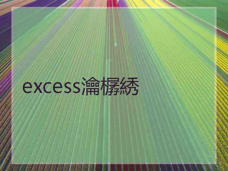 excess瀹樼綉