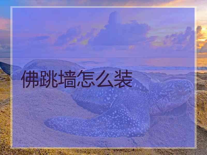 佛跳墙怎么装