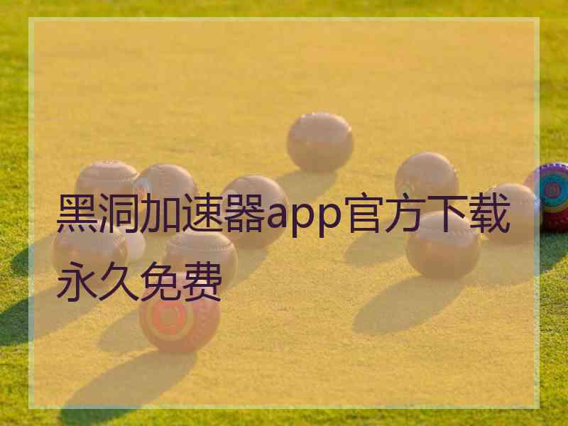 黑洞加速器app官方下载永久免费