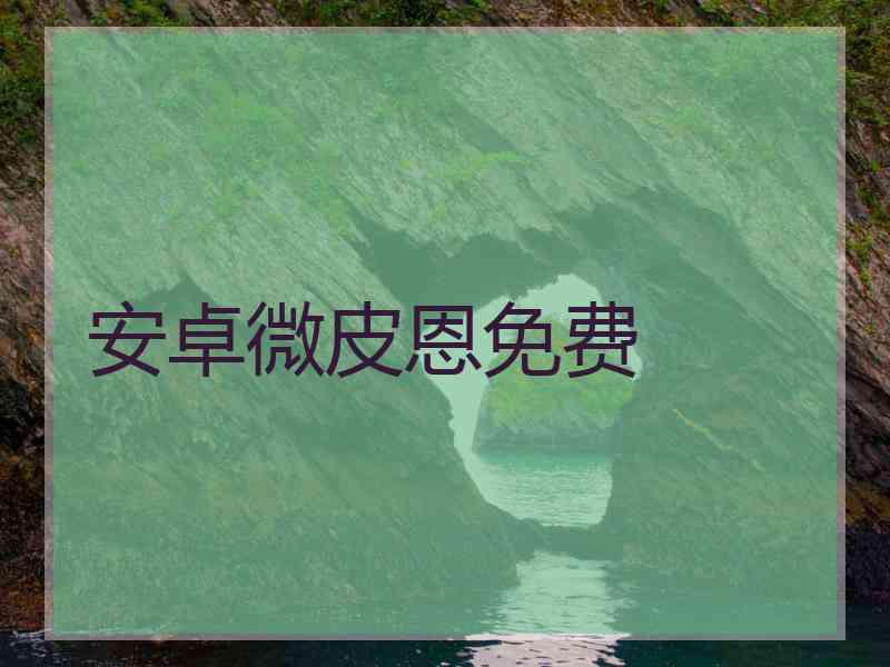 安卓微皮恩免费