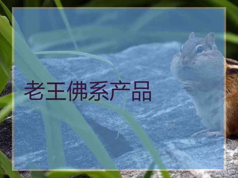 老王佛系产品