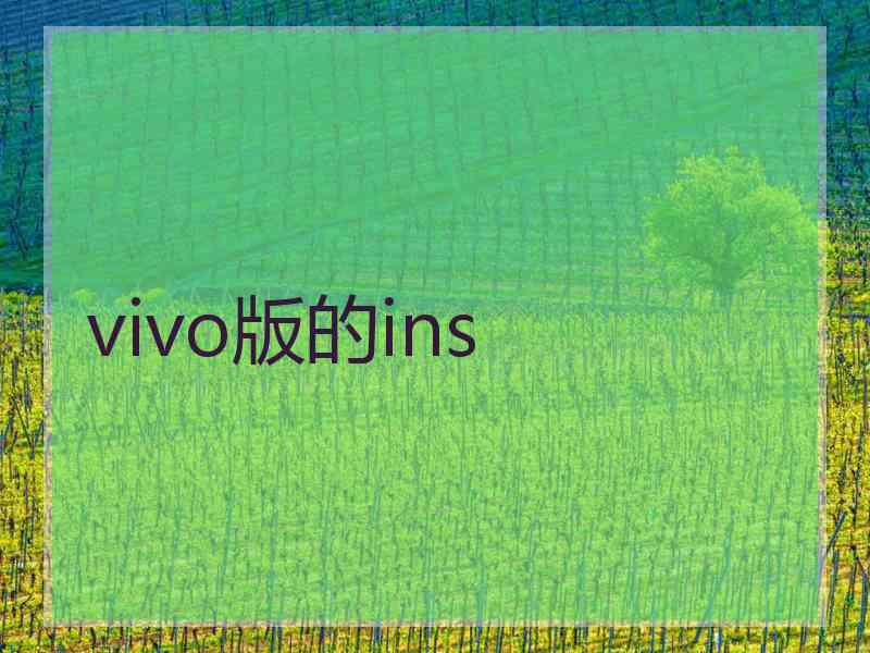 vivo版的ins