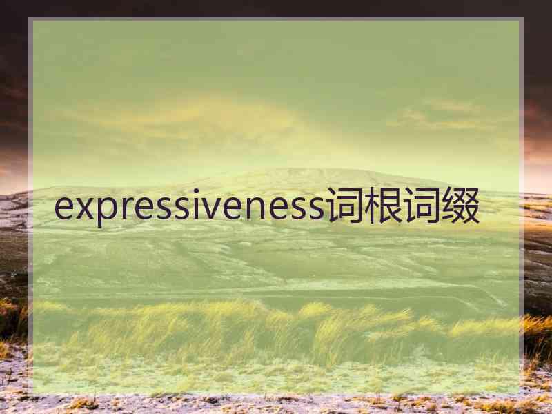 expressiveness词根词缀