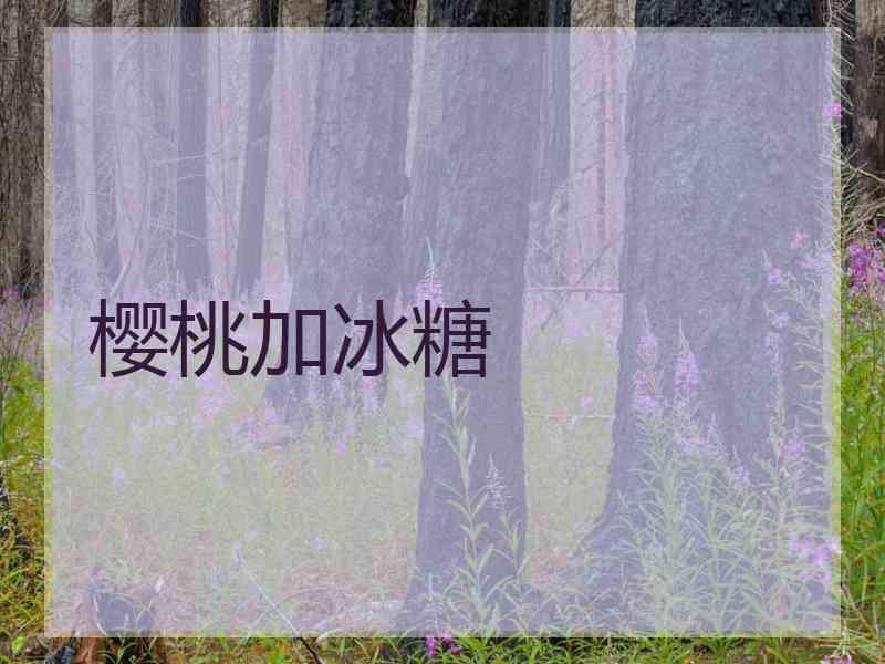 樱桃加冰糖