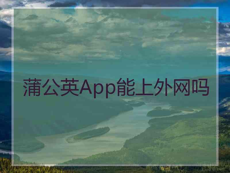 蒲公英App能上外网吗