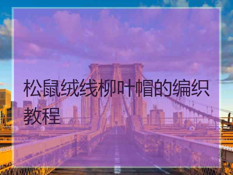 松鼠绒线柳叶帽的编织教程