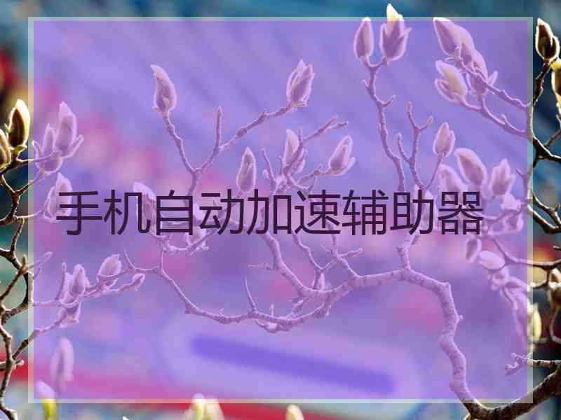 手机自动加速辅助器
