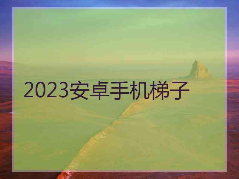 2023安卓手机梯子