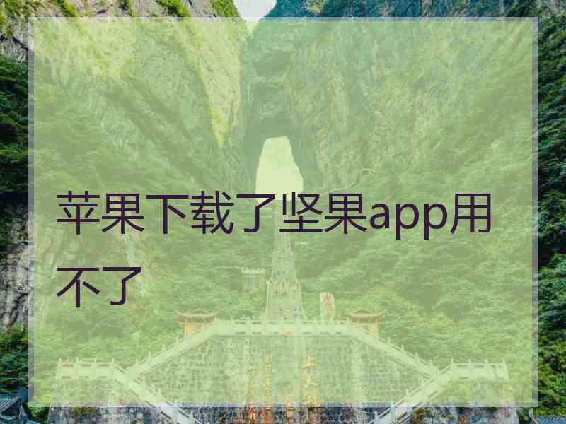 苹果下载了坚果app用不了