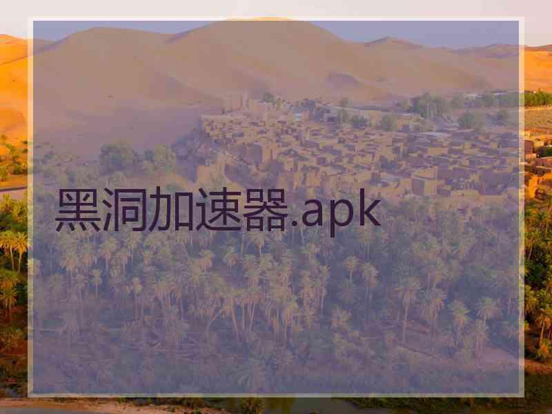 黑洞加速器.apk