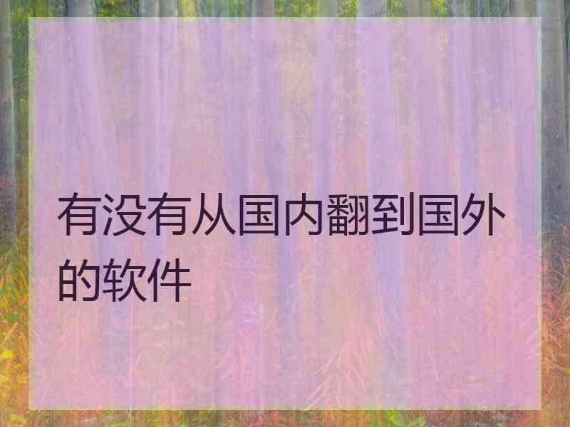 有没有从国内翻到国外的软件