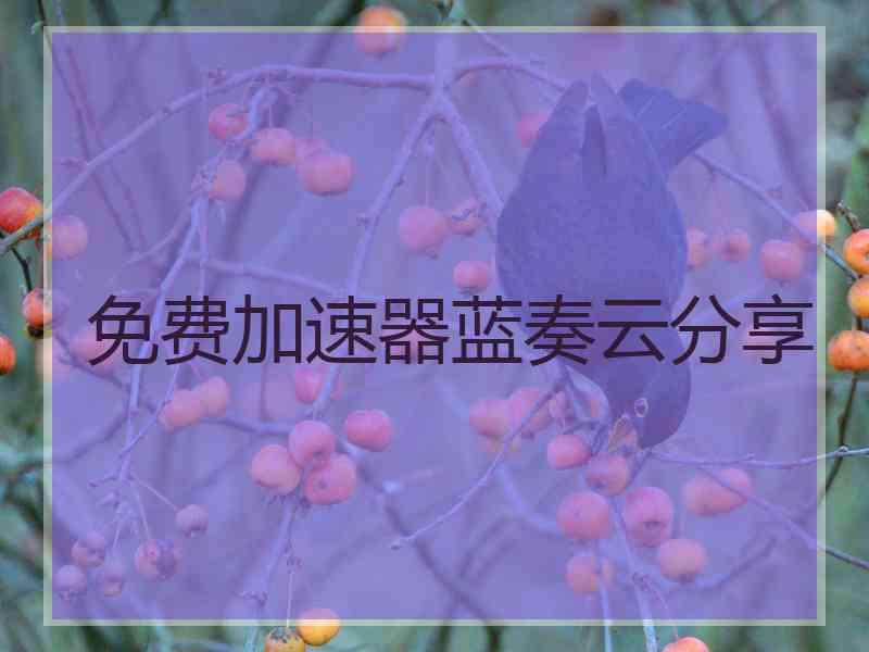免费加速器蓝奏云分享