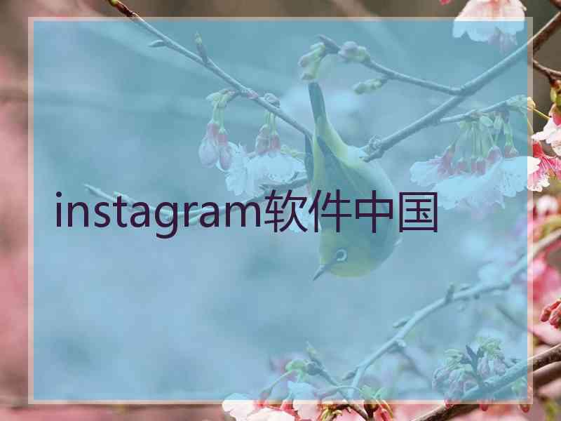instagram软件中国