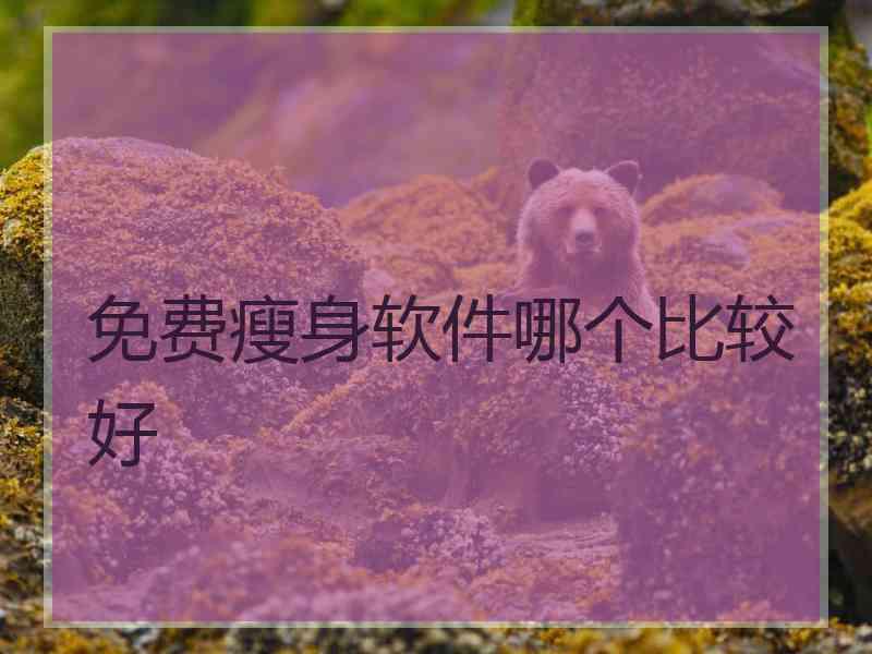 免费瘦身软件哪个比较好