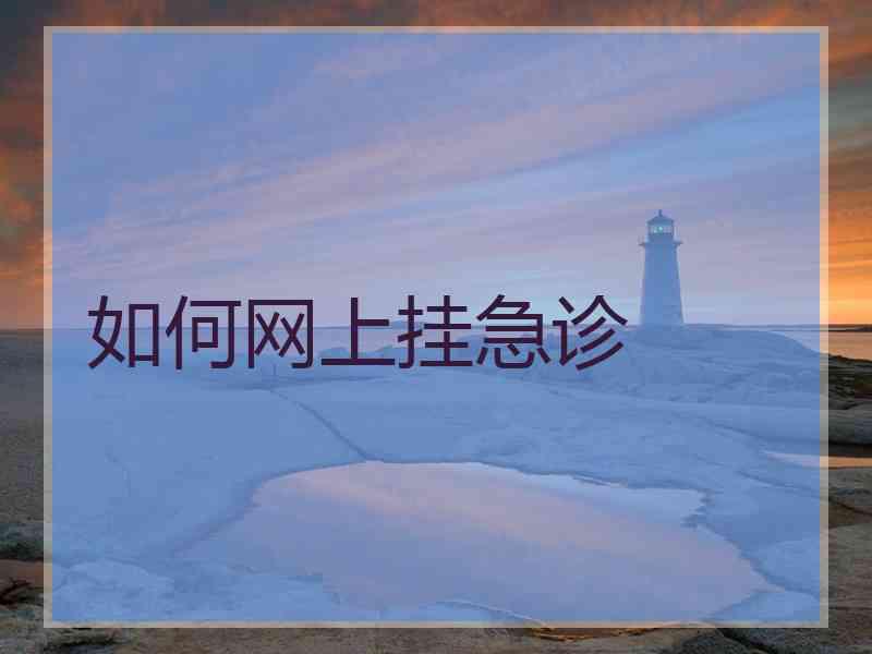 如何网上挂急诊