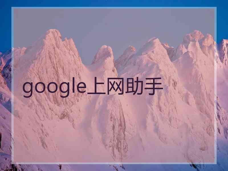 google上网助手