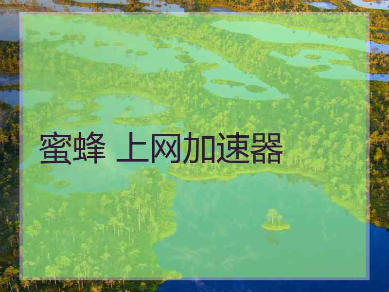 蜜蜂 上网加速器
