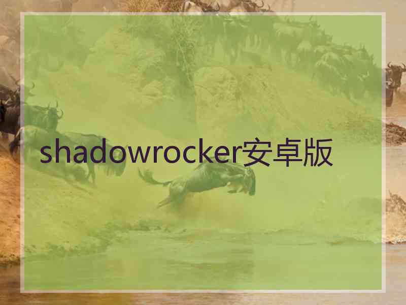 shadowrocker安卓版