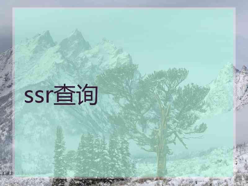ssr查询