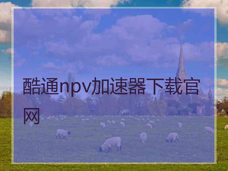 酷通npv加速器下载官网