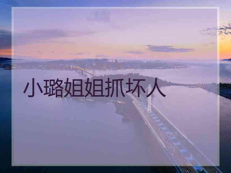 小璐姐姐抓坏人