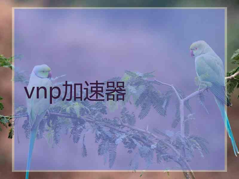 vnp加速器