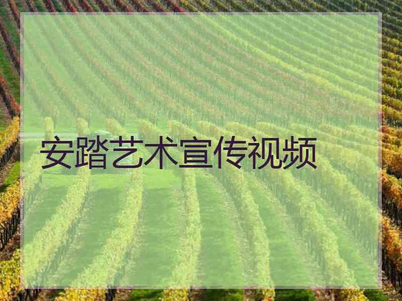 安踏艺术宣传视频