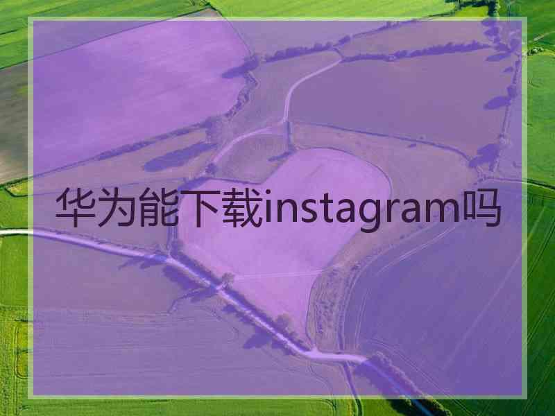 华为能下载instagram吗