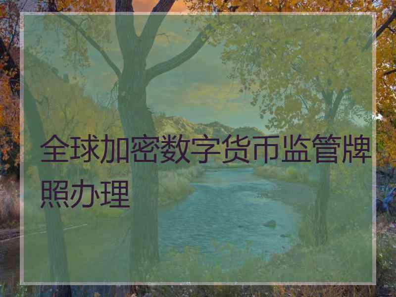 全球加密数字货币监管牌照办理