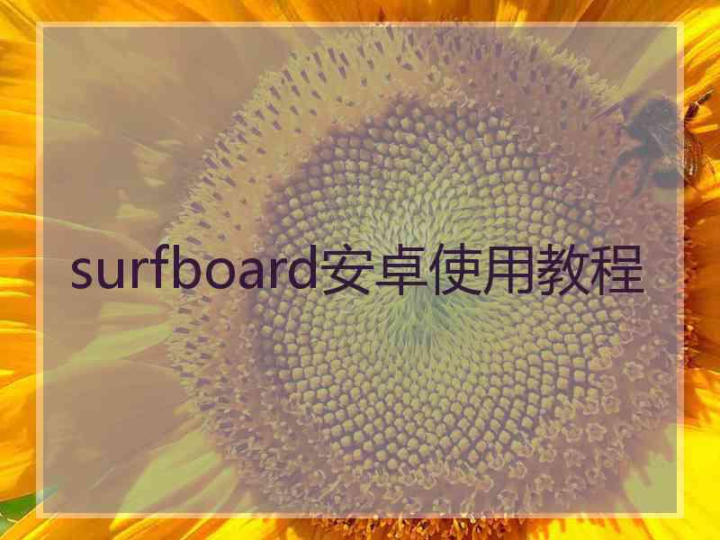 surfboard安卓使用教程