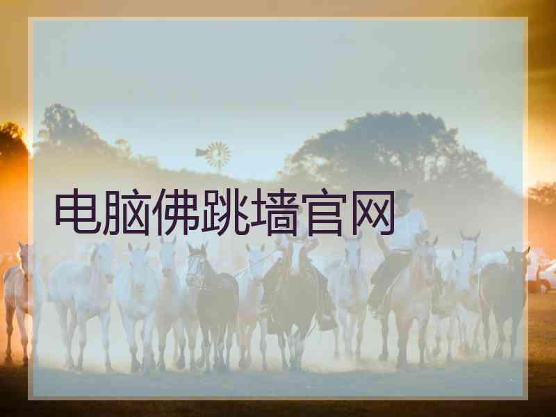 电脑佛跳墙官网