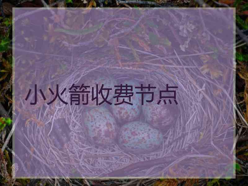 小火箭收费节点