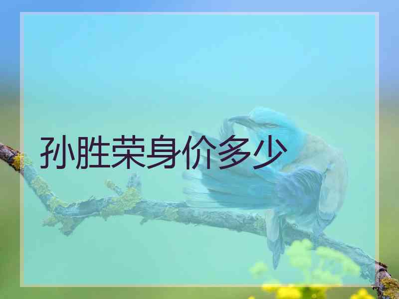 孙胜荣身价多少