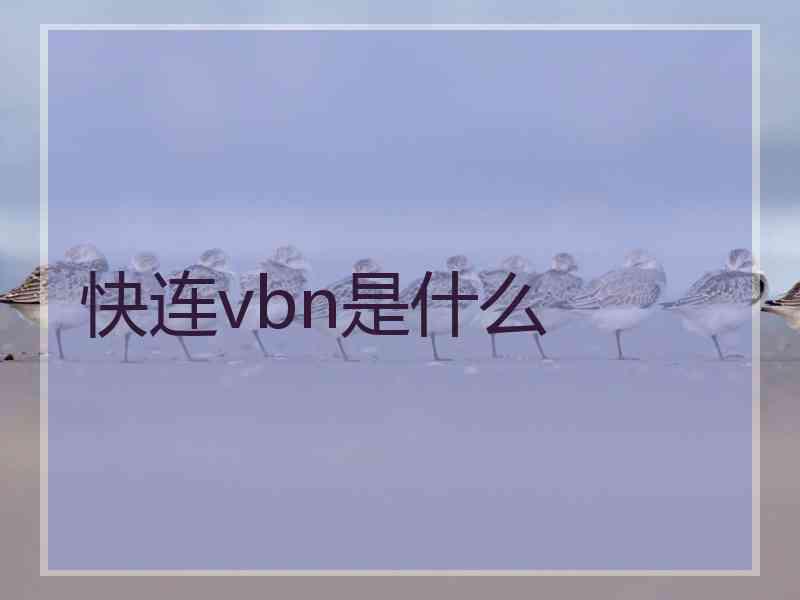 快连vbn是什么