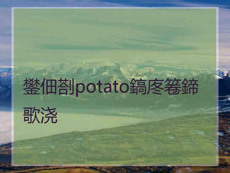 鐢佃剳potato鎬庝箞鍗歌浇