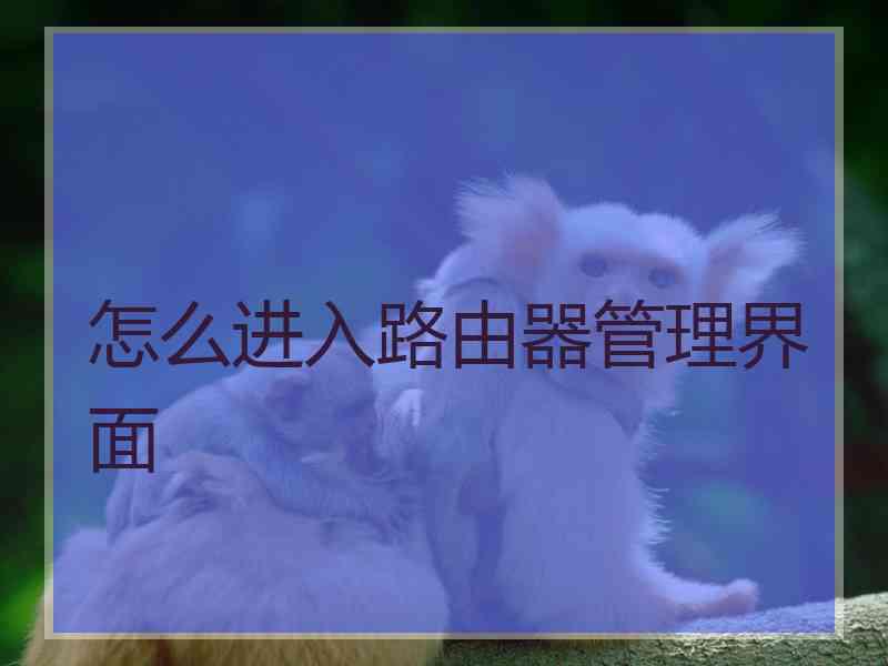 怎么进入路由器管理界面