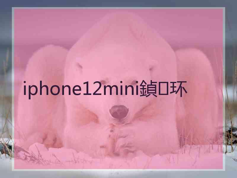 iphone12mini鍞环