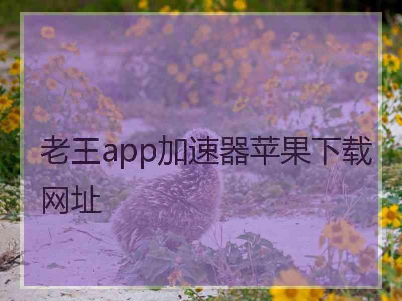 老王app加速器苹果下载网址