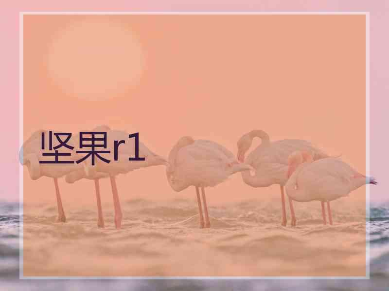 坚果r1