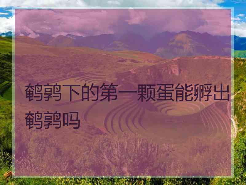 鹌鹑下的第一颗蛋能孵出鹌鹑吗