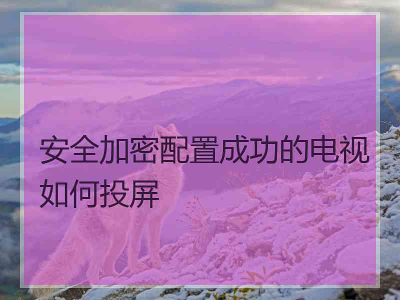 安全加密配置成功的电视如何投屏
