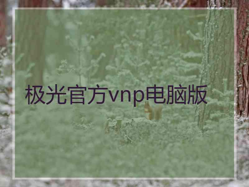极光官方vnp电脑版