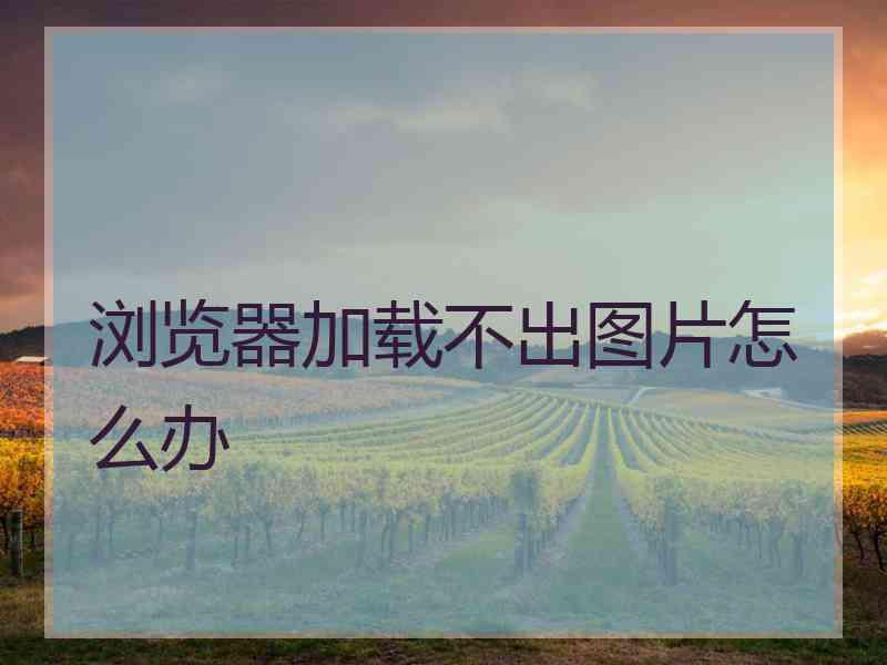 浏览器加载不出图片怎么办