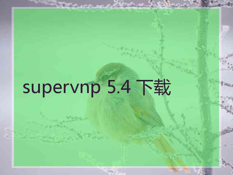 supervnp 5.4 下载