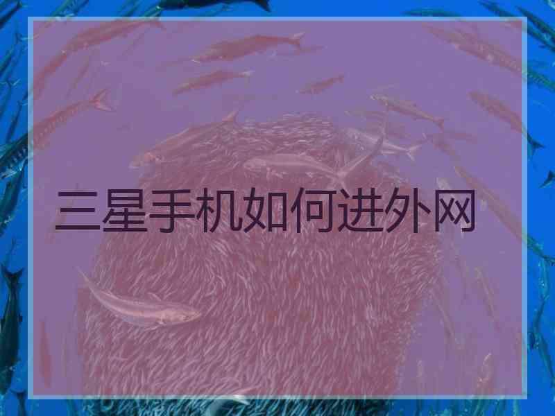 三星手机如何进外网