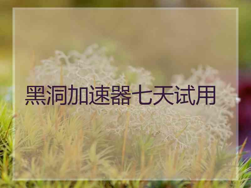 黑洞加速器七天试用