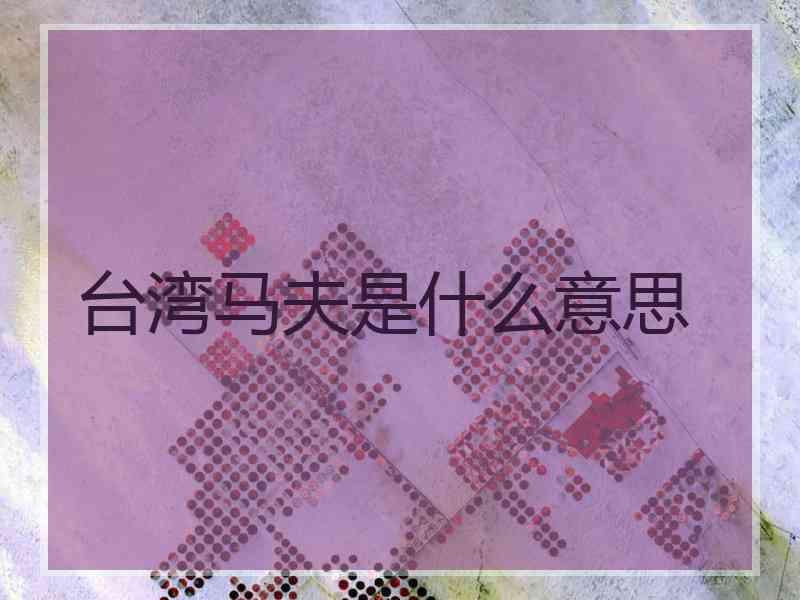 台湾马夫是什么意思