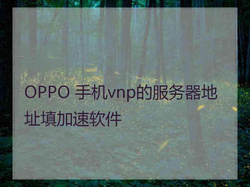 OPPO 手机vnp的服务器地址填加速软件